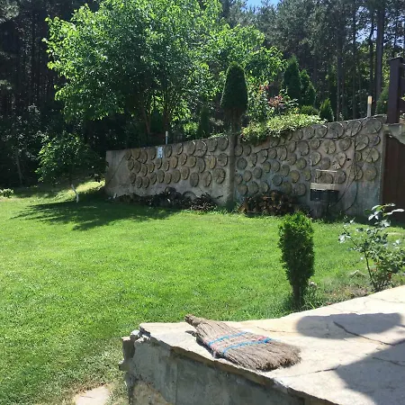 Forest Studio