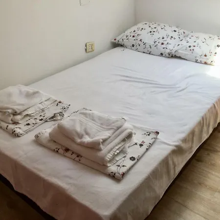 Apartment Forest Studio