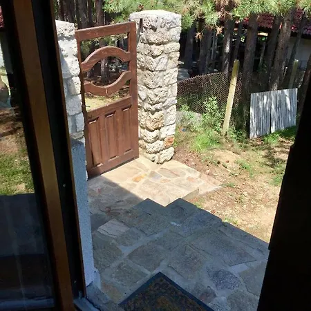 Forest Studio