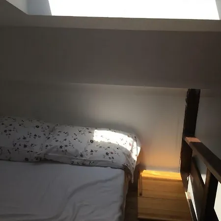 Apartment Forest Studio