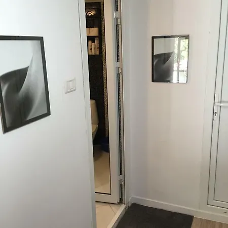 Apartment Forest Studio