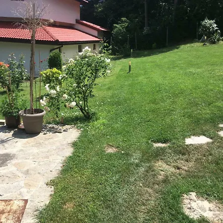 Forest Studio * Varna