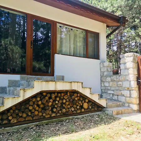 Forest Studio Apartment *